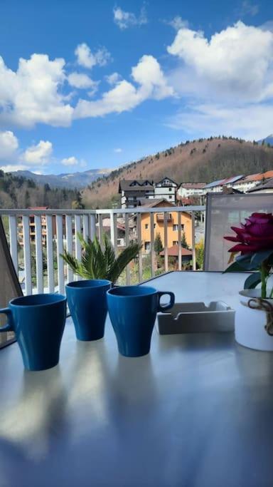 Apartament Erika Premium Sinaia Buitenkant foto