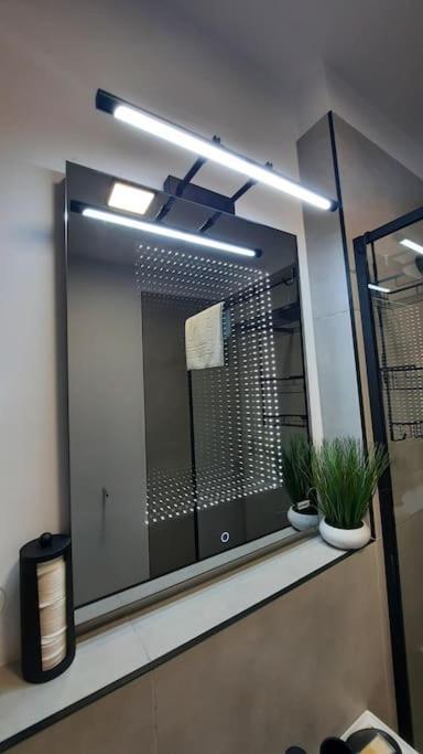 Apartament Erika Premium Sinaia Buitenkant foto