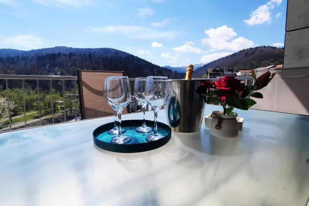 Apartament Erika Premium Sinaia Buitenkant foto